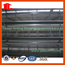 Jinfeng Hot Sell H Type Chicken Cage System